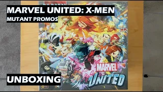 What's inside the promo box?