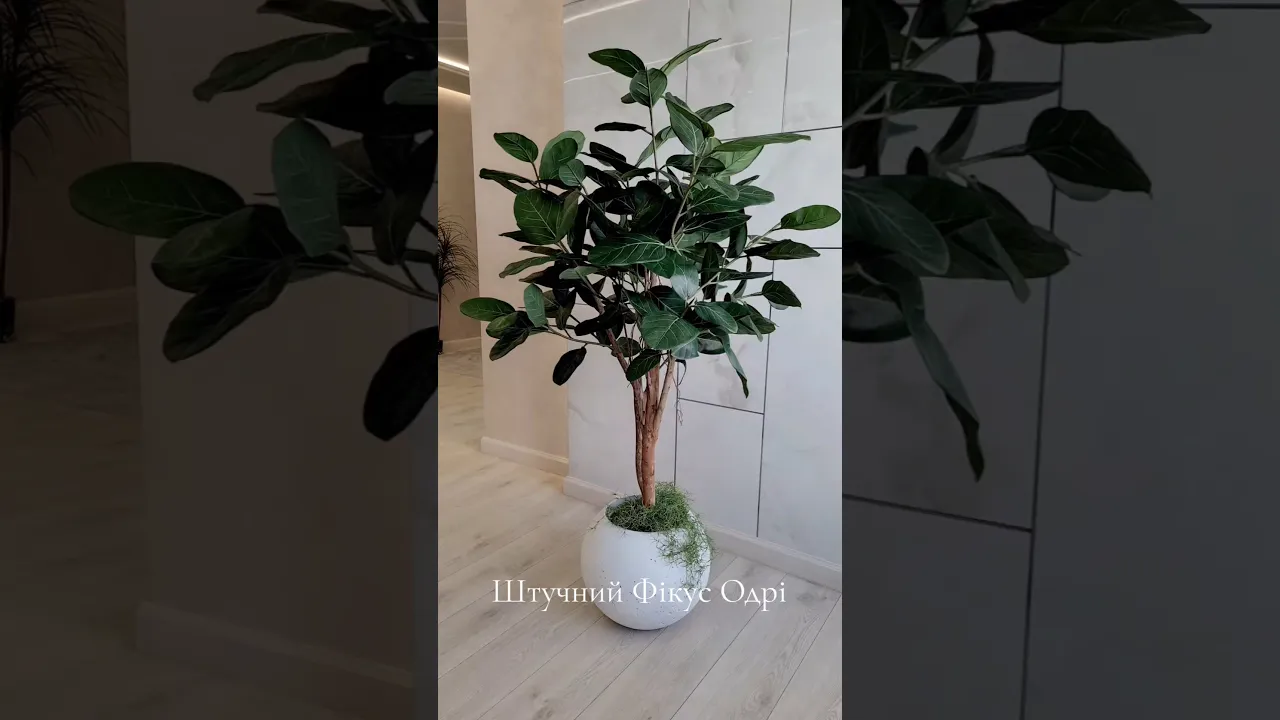 Искусственное дерево Фикус Одри H170cm NKoop FW