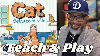 Lure that cat to hang out with you in Cat Between Us! | Teach & Play
