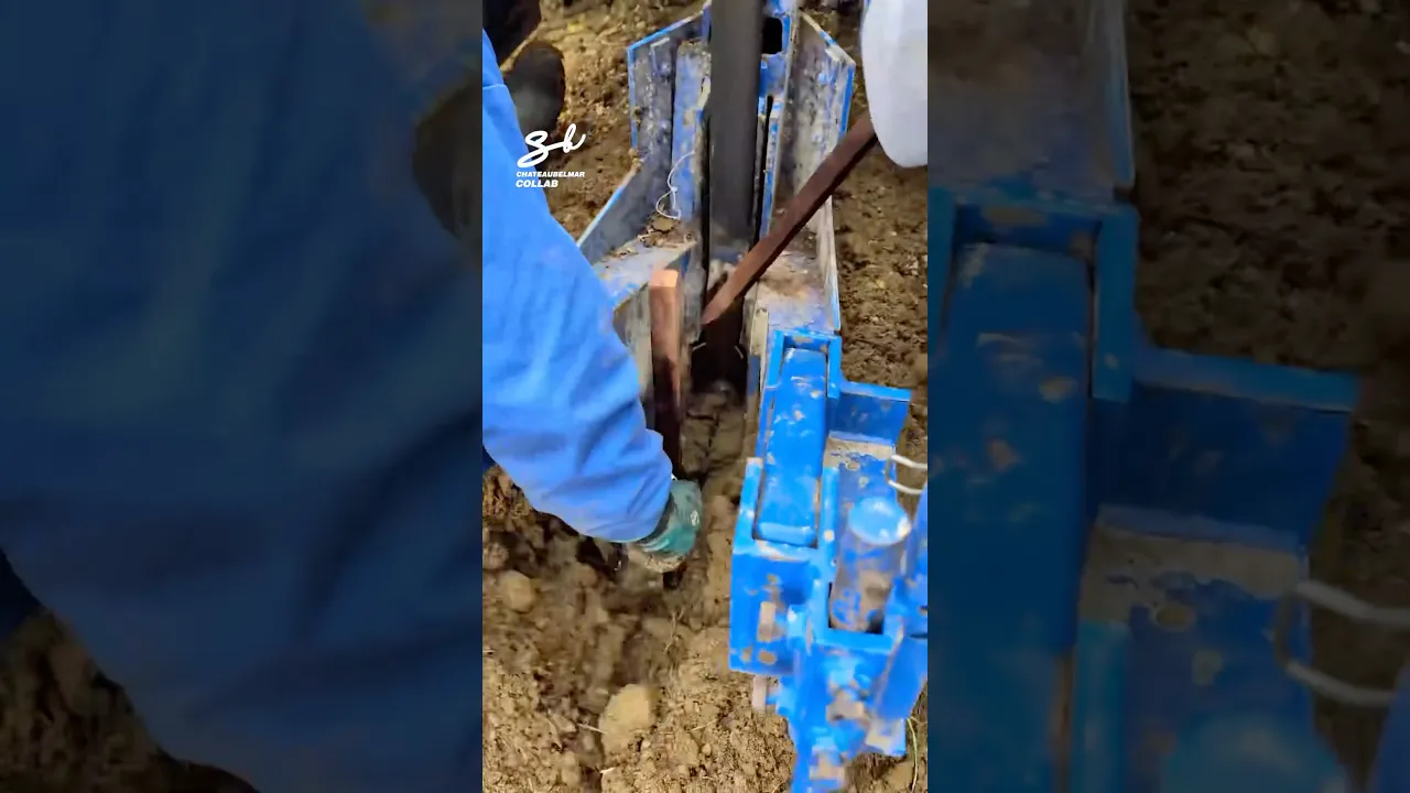 The Planting of Grapevine Rootstocks! 🚜 #farming #vehicles #process