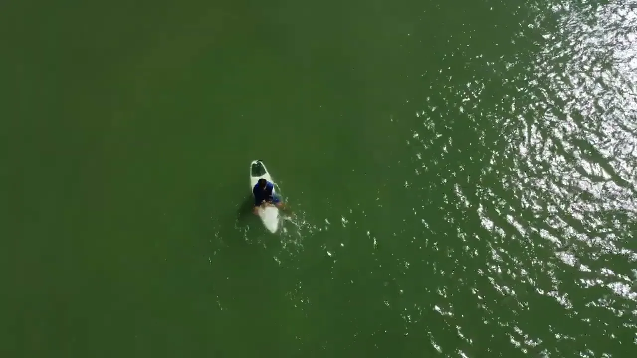 Vídeo de Grezze Surf Co.