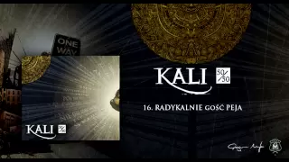 16. Kali ft. Peja - Radykalnie (prod. MTI)