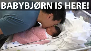 The birth of Isabel Nyland