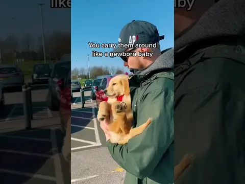 youtube-video-thumbnail