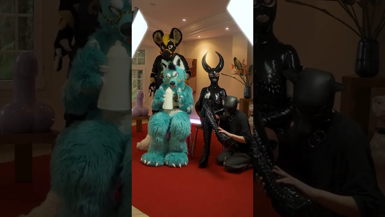 Video de Luden