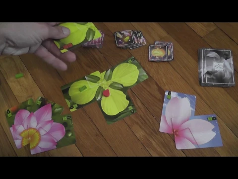 Lotus (Renegade Games) Review