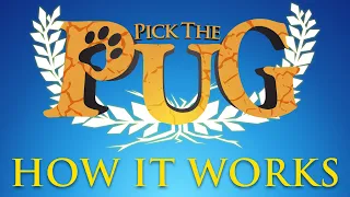 Pick The Pug | Card Game | How it Works
