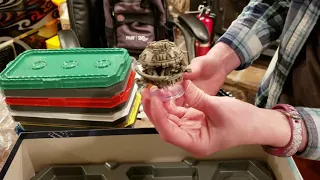 Eclipse Unboxing