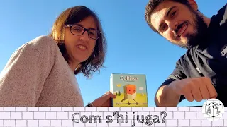 CUBIRDS: Com s'hi juga?