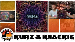 Amygdala Spielüberblick und Fazit