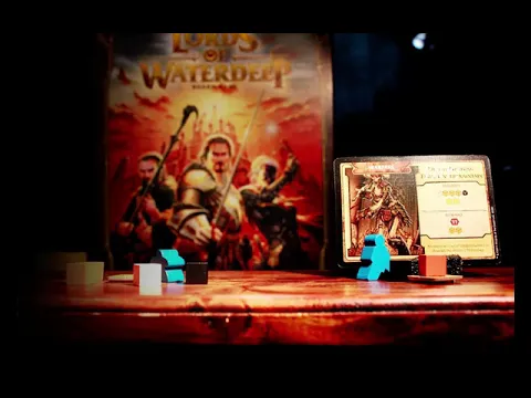 Stop Motion Meeple - A Lord of Waterdeep