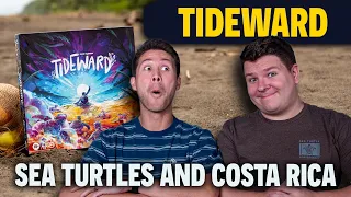 Tideward | Sea Turtles, Conservation & Our Trip to Costa Rica