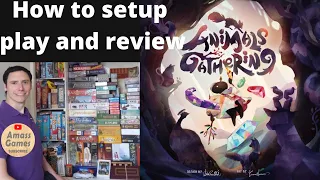 Animals Gathering #howtoplay #review #boardgame #tabletop AmassGames #games #cute #games