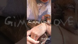 Spreading the love all day, every day ❤️ &quot;Gimme Love&quot; is out now: https://sia.lnk.to/gimmelove