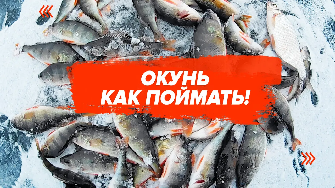 rybalka