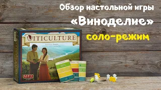 Настольная игра "Виноделие". Обзор соло-режима.