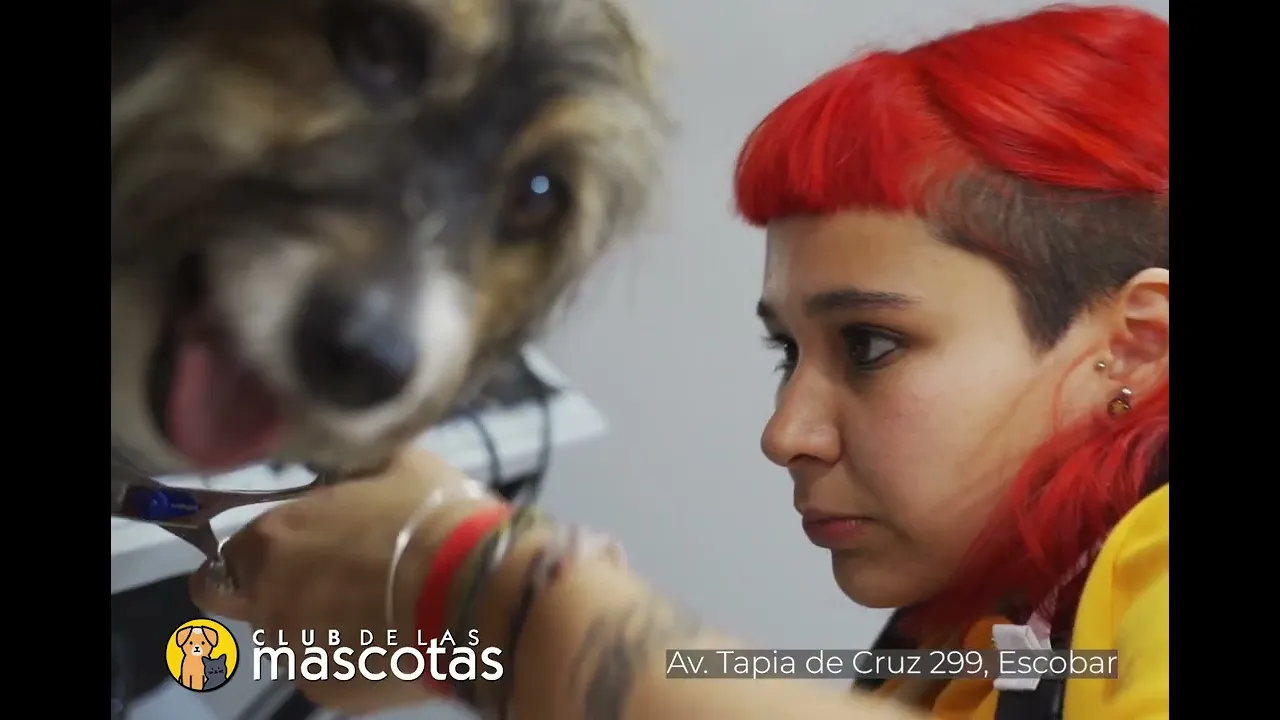 Video de Club de las Mascotas