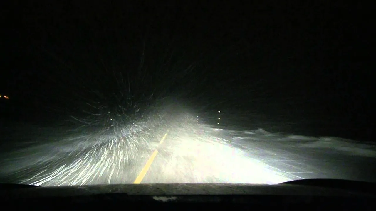 Bjørn rambling in a snowstorm in Hemsedal