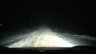 Bjørn rambling in a snowstorm in Hemsedal