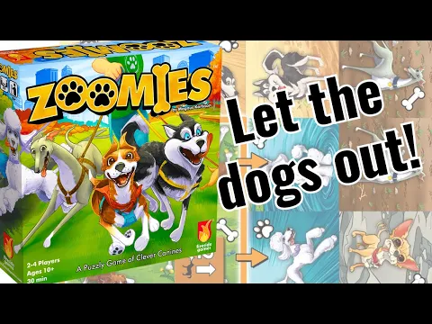How to play Zoomies!