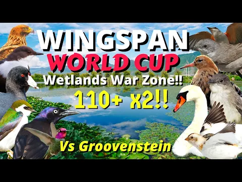 Two 110+ Scores!! Wingspan Tournament: World Cup vs Groovenstein