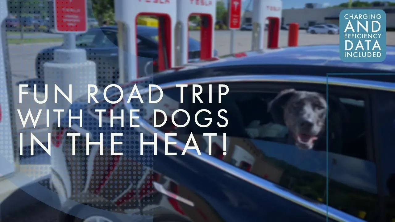Model 3 | 1,200 Mile Road Trip with 2 Dogs