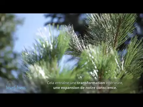 youtube-video-thumbnail