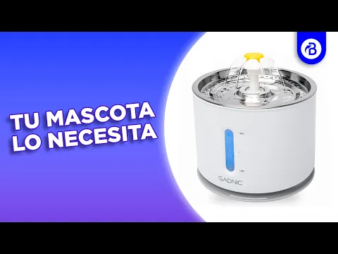 video_PETBEB01