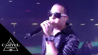 Daddy Yankee en Suiza (Live)