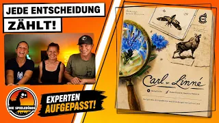 Carl von Linne – Dieses Expertenspiel hat es in sich! | Spielüberblick - Spiel 2026 Neuheit