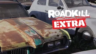 Freiburger Junkyard Pick: 6.5L Cougar! - Roadkill Extra