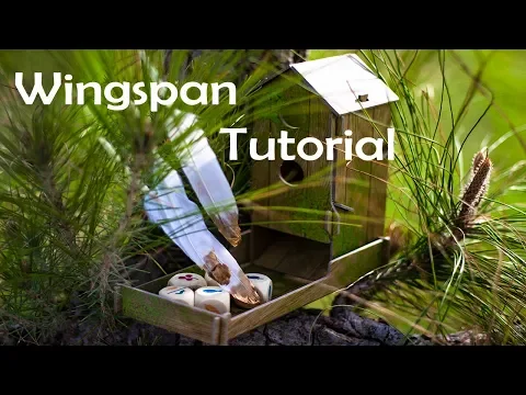 LEARN WINGSPAN IN ~8 MINUTES+ SOLO RULES!