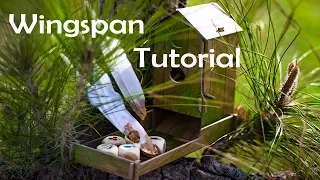 LEARN WINGSPAN IN ~8 MINUTES+ SOLO RULES!