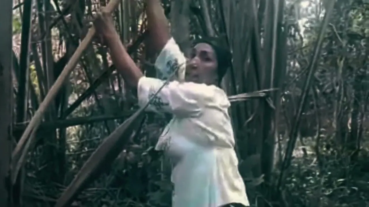 Vídeo de Nor Brasileira