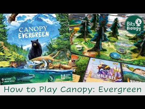 Canopy Evergreen How to Play | Bits & Biology