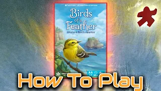 Birds of a Feather: How to Play