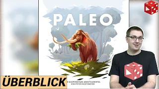 Überblick: PALEO (Peter Rustemeyer, Hans im Glück 2020)