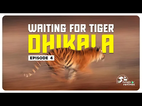 youtube-video-thumbnail