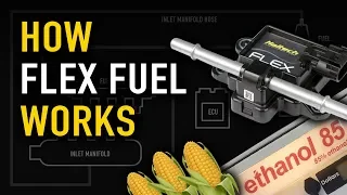 💬 How to Flex Fuel | TECHNICALLY SPEAKING 💬 How to Flex Fuel | TECHNICALLY SPEAKING