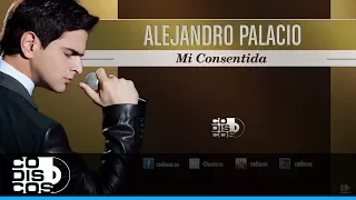 Mi Consentida, Alejandro Palacio - Audio