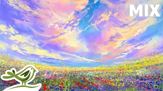 Relax in a Field of Flowers With Peaceful Music