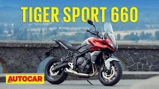 2022 Triumph Tiger Sport 660 - The (relatively) affordable Tiger is here! |First Look| Autocar India