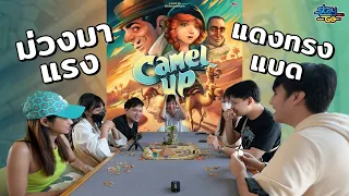Camel Up | STAYgo Boardgame