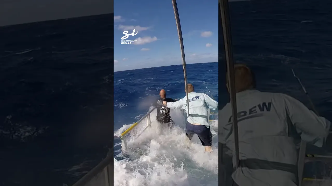 Fishing In Extreme Waves! 🎣 #waves #fishing #sea
