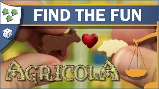 Find the Fun: Agricola - a Nights Around a Table board game review