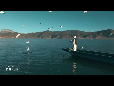 video_DRDJI081