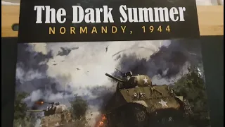 The Dark Summer - How I organized the counters