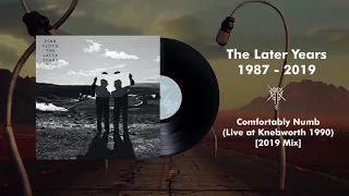 Pink Floyd - Comfortably Numb (Live at Knebworth 1990) [2019 Mix]