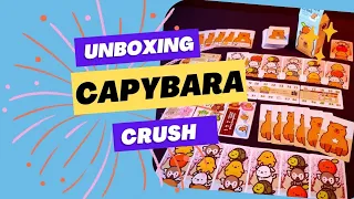 Unboxing Capybara Crush game - pocket version