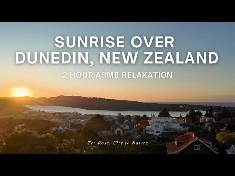 youtube-video-thumbnail